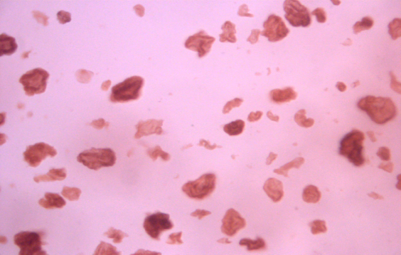 The Role of Texture and Sensorial Experience in Cosmetics with Bio ...