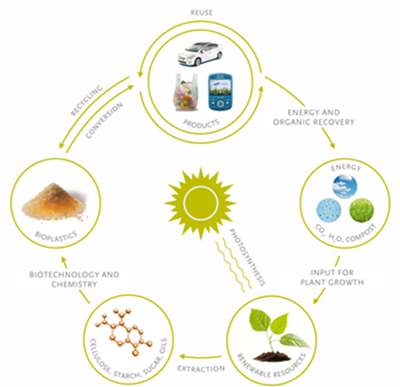 All Win Polymers Innovative Bioplastic Applications Drive Market Development!