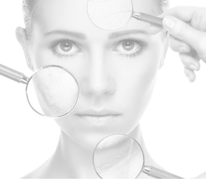 Clinically Evaluate Menopausal Skin Modification