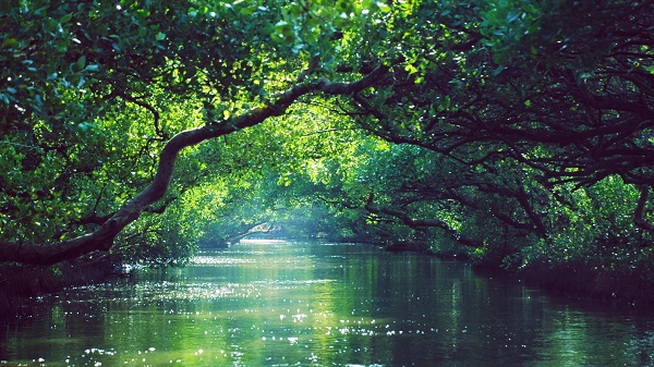 Roquette Earns ISCC+ Certification for Its Isosorbide in France